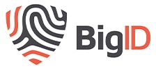 Logo de BigID.