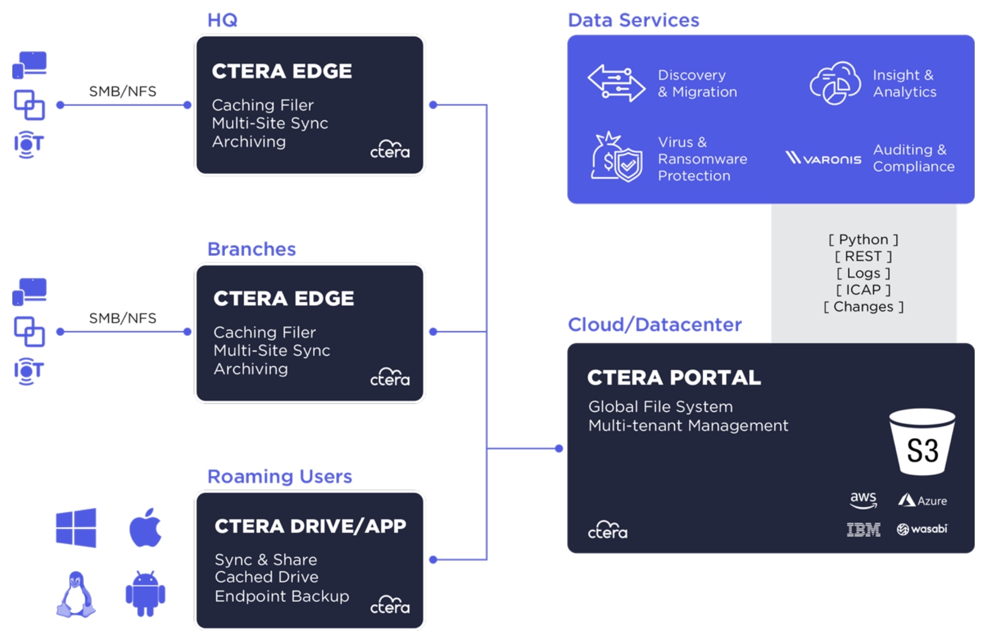 CTERA Infographic